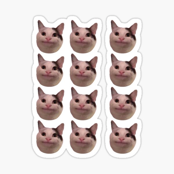 Beluga Cat Pattern Sticker