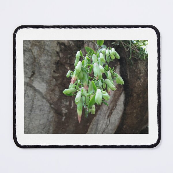 Item preview, Flowers designed and sold by Bliss0611.
