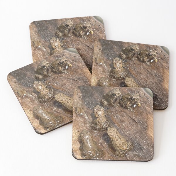 Item preview, Toads designed and sold by Kaydileigh.