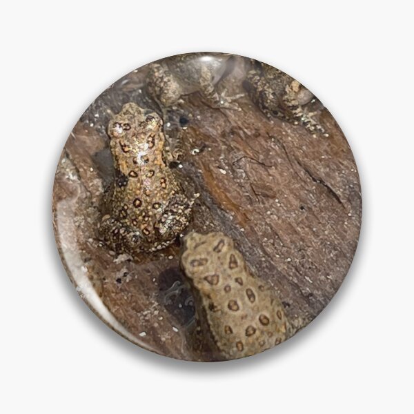 Item preview, Toads designed and sold by Kaydileigh.