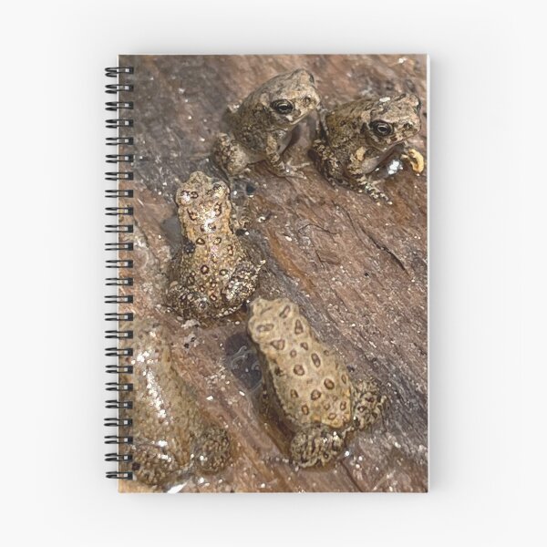 Item preview, Toads designed and sold by Kaydileigh.
