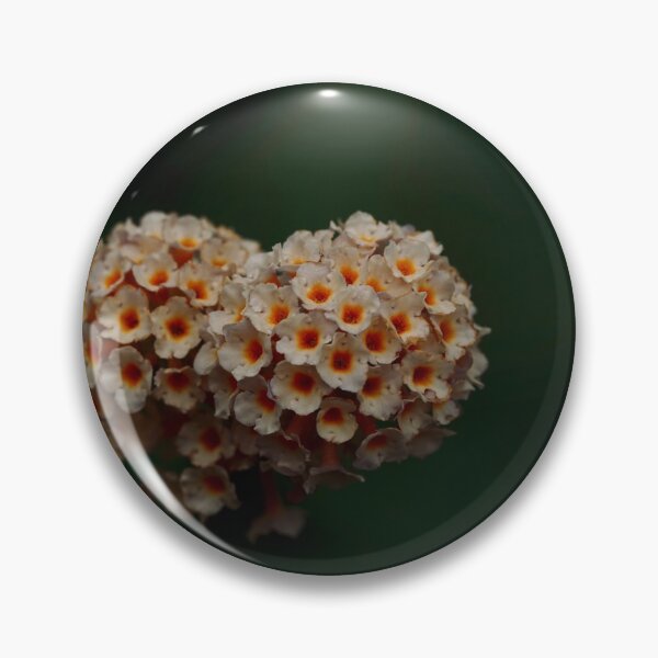 Item preview, Buddleja honeycomb designed and sold by Helen  Kelly.
