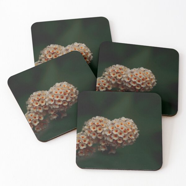 Item preview, Buddleja honeycomb designed and sold by Helen  Kelly.