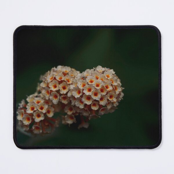 Item preview, Buddleja honeycomb designed and sold by Helen Kelly.