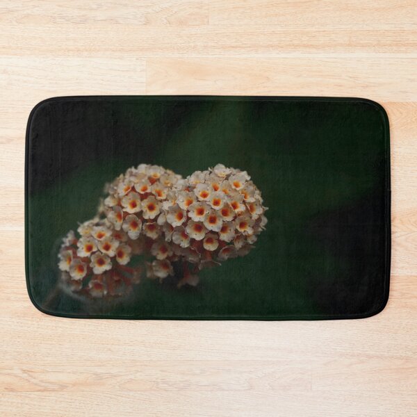 Item preview, Buddleja honeycomb designed and sold by Helen  Kelly.