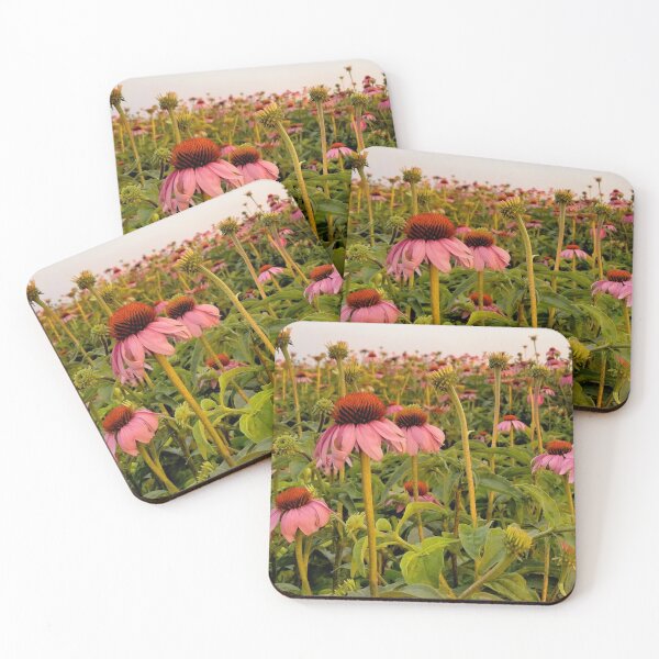 Item preview, Echinacea for Days designed and sold by Kim.Buck.Too.