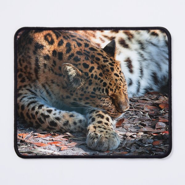 Item preview, Leopard Lies Sleeping Black and White designed and sold by KbytesOfJax Outdoor and Nature.