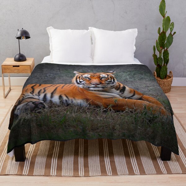 Item preview, Tiger designed and sold by Savannah Gibbs.