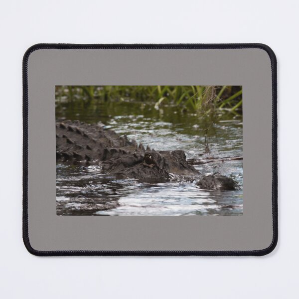 Item preview, Swamp Gator Gliding designed and sold by KbytesOfJax Outdoor and Nature.
