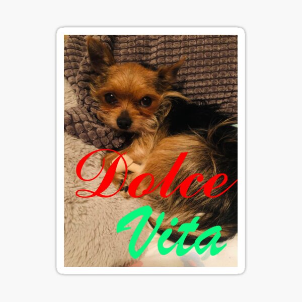 Dolce Vita Sticker