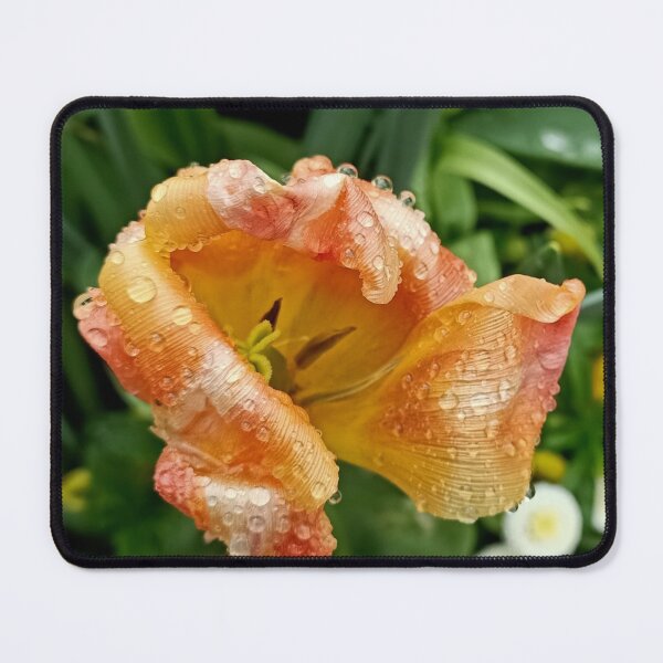 Item preview, Beautiful flower in the rain designed and sold by vibeno1.