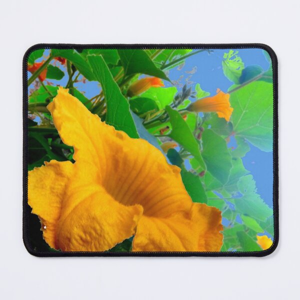 Item preview, SUMMER SQUASH FLOWERS GARDEN ART designed and sold by sharlesart.