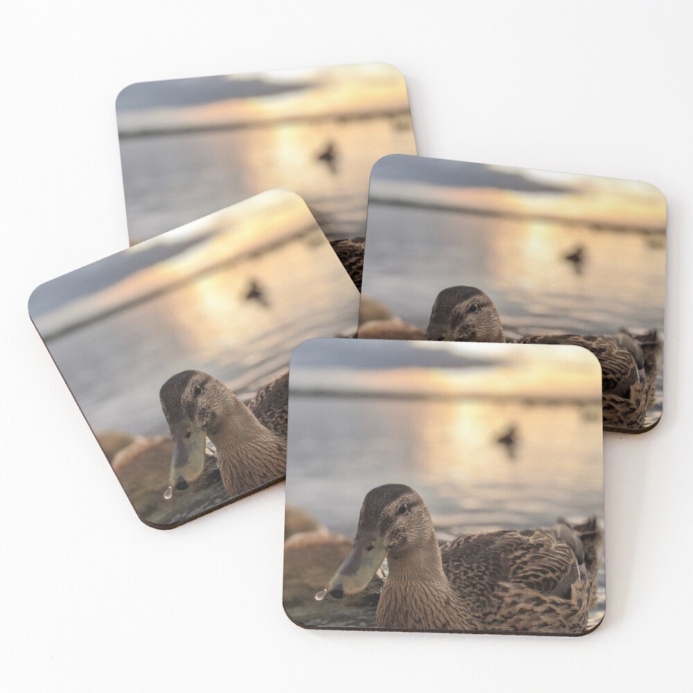 Item preview, Coasters (Set of 4) designed and sold by RScaptor.