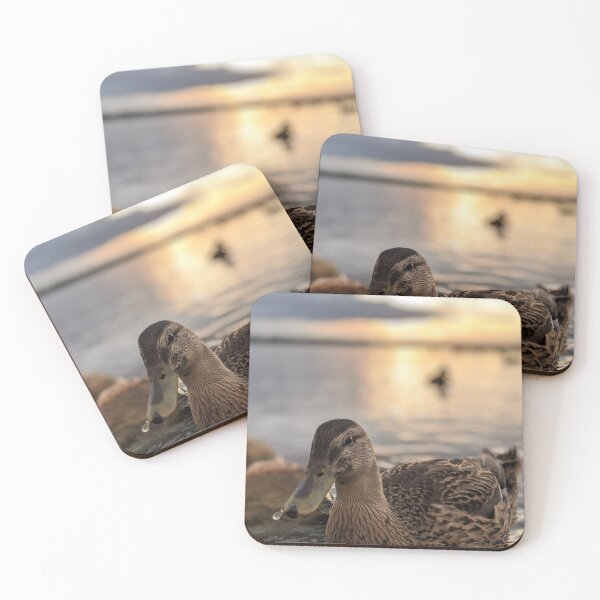 Item preview, Ducks at Sunset designed and sold by Ryan Stephens.