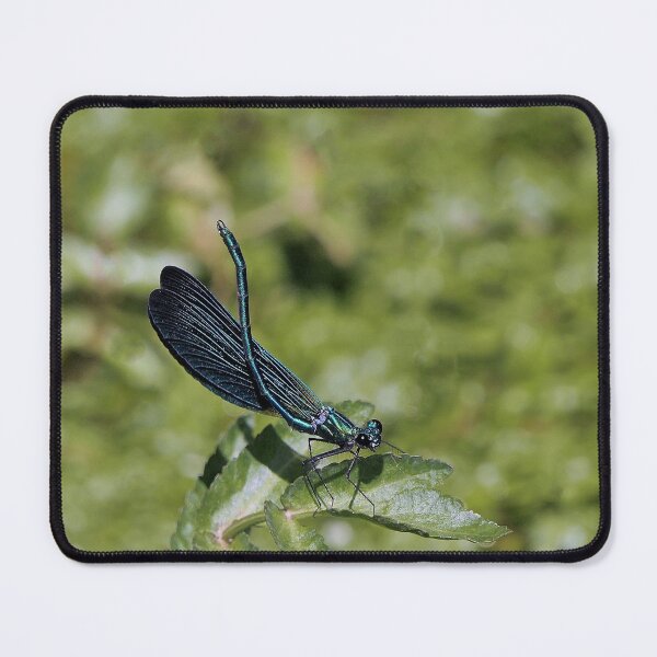 Item preview, r1090 / Finition 2021   " Libellule super bleu dans la Lumière "  2018   fz 2000 (c)(t) Olavia-Olao Okaio Créations designed and sold by o.okaïo.