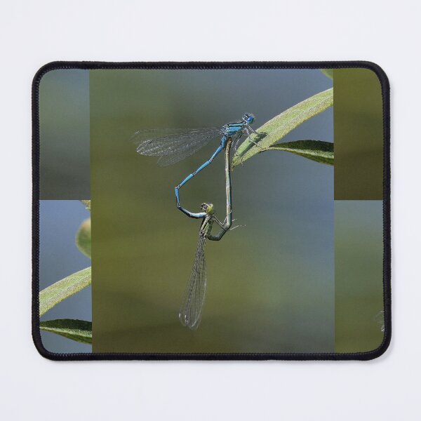 Item preview, r1091 / Finition 2021  -- " Coeur de Libellules dans la Lumière "  2018   fz 2000 (c)(t) Olavia-Olao Okaio Créations designed and sold by o.okaïo.