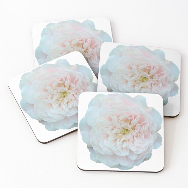 Item preview, Fotografía floral de la naturaleza muerta de la flor de la rosa blanca designed and sold by CottoVerdi.