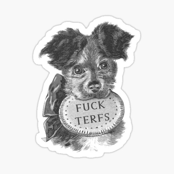 Vintage Polaroid Sex Dog - Vintage Gay Stickers for Sale | Redbubble