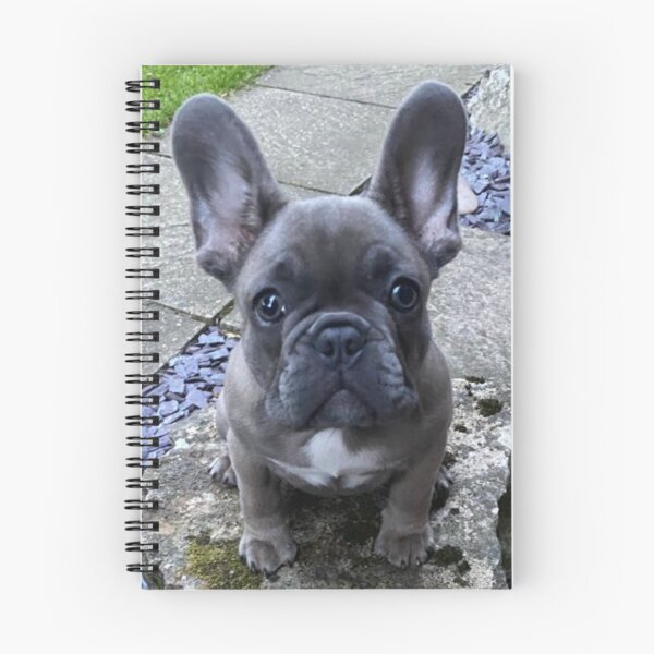 Item preview, Kedi the French Bull Dog Puppy designed and sold by Labradoodlesetc.