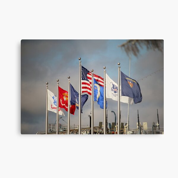 Military Flags Metal Print