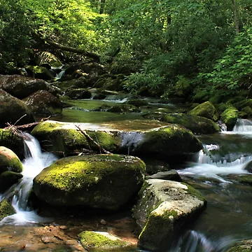 Artwork thumbnail, Mountain Stream by Ryan Stephens
