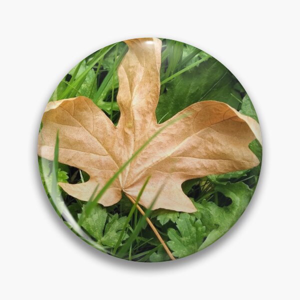 Item preview, Falling leaves on the ground designed and sold by Amber Graham (grahamedia).