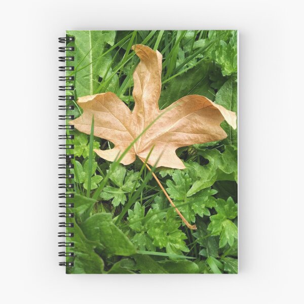 Item preview, Falling leaves on the ground designed and sold by Amber Graham (grahamedia).