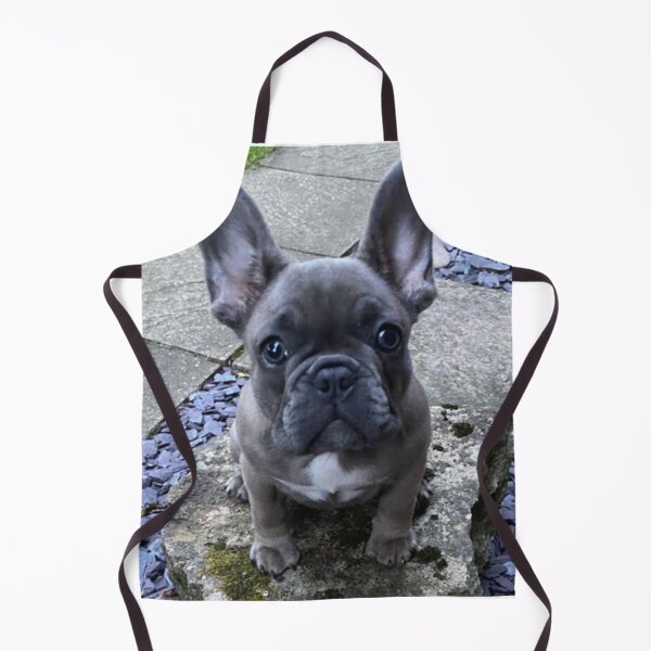 Item preview, Kedi the French Bull Dog Puppy designed and sold by Labradoodlesetc.