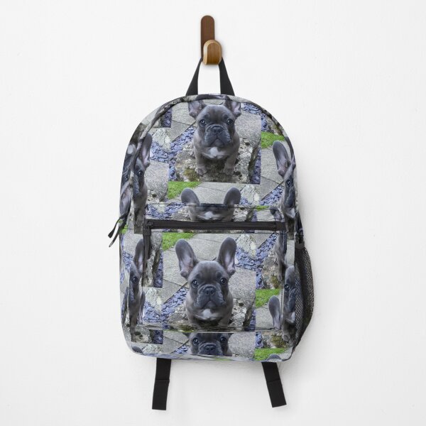 Item preview, Kedi the French Bull Dog Puppy designed and sold by Labradoodlesetc.