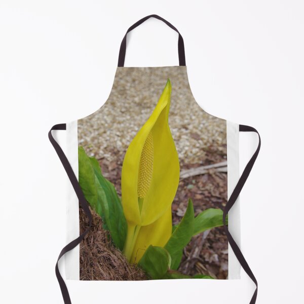 Item preview, A Single Yellow Skunk Cabbage (Lysichiton americanus) designed and sold by lezvee.