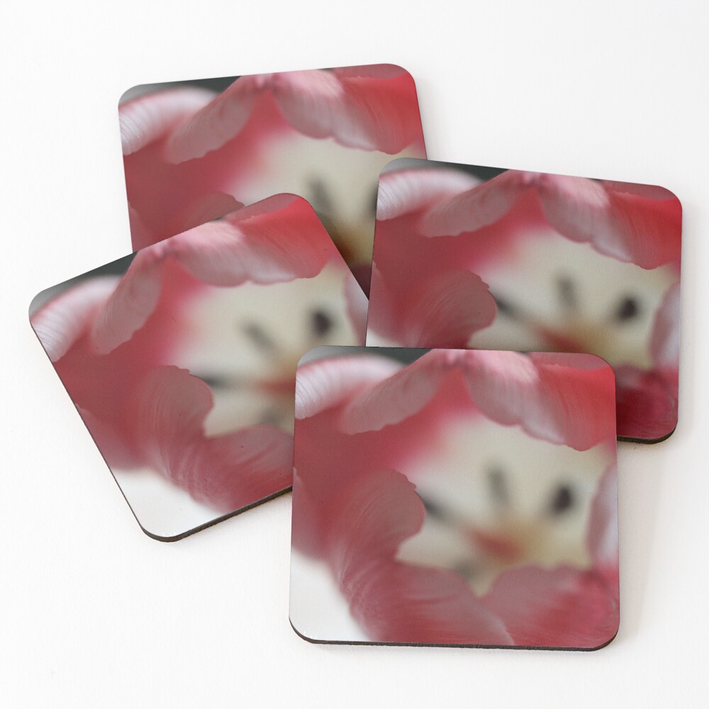 Item preview, Coasters (Set of 4) designed and sold by KOneillPics.