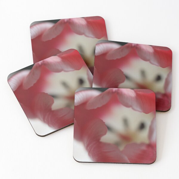 Item preview, Tulip Shell designed and sold by KOneillPics.