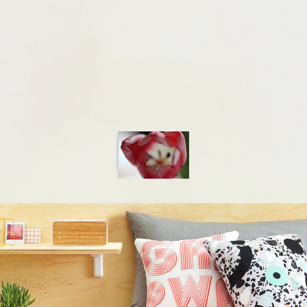 Item preview, Photographic Print designed and sold by KOneillPics.