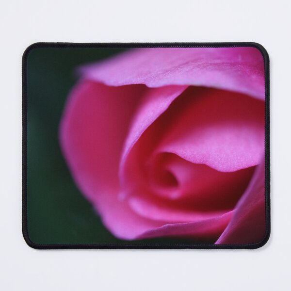 Item preview, Small pink rose designed and sold by KOneillPics.