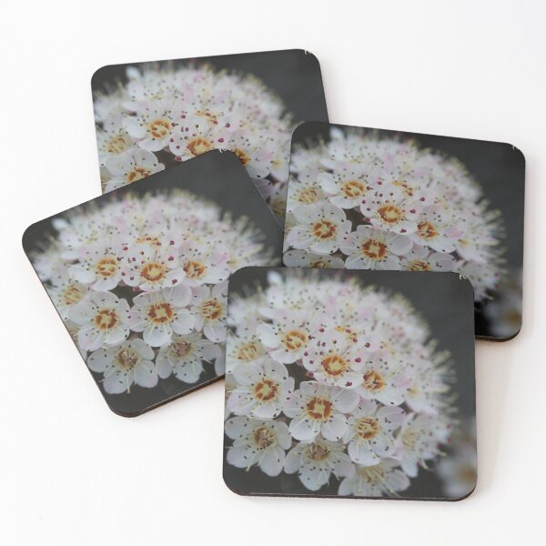 Item preview, tiny white flower  designed and sold by KOneillPics.