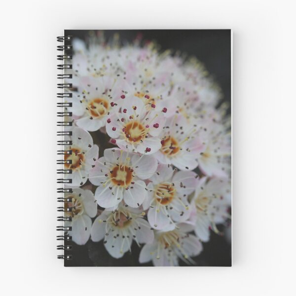 Item preview, tiny white flower  designed and sold by KOneillPics.