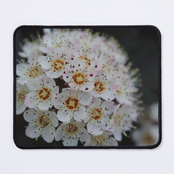 Item preview, tiny white flower designed and sold by KOneillPics.