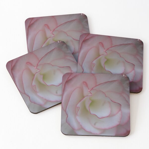 Item preview, White pink lined flower designed and sold by KOneillPics.