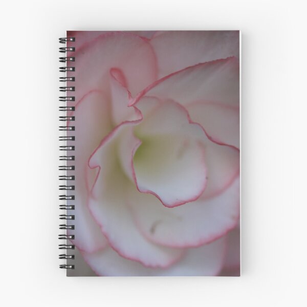Item preview, White pink lined flower designed and sold by KOneillPics.
