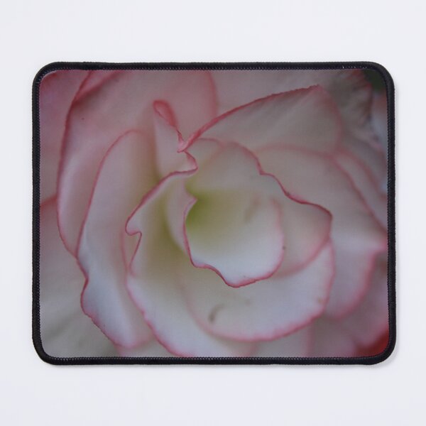 Item preview, White pink lined flower designed and sold by KOneillPics.