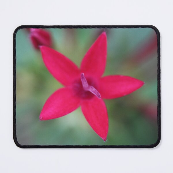 Item preview, Tiny Pink Flower designed and sold by KOneillPics.