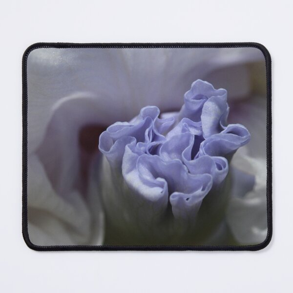 Item preview, Bud of an Iris designed and sold by KOneillPics.