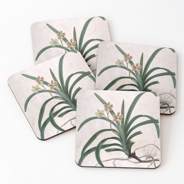 Item preview, Study of an Orchid Botanical Art designed and sold by KTPlants.