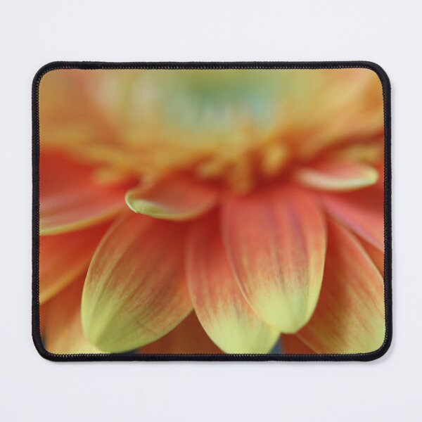 Item preview, Yellow, Orange Daisy Petals designed and sold by KOneillPics.