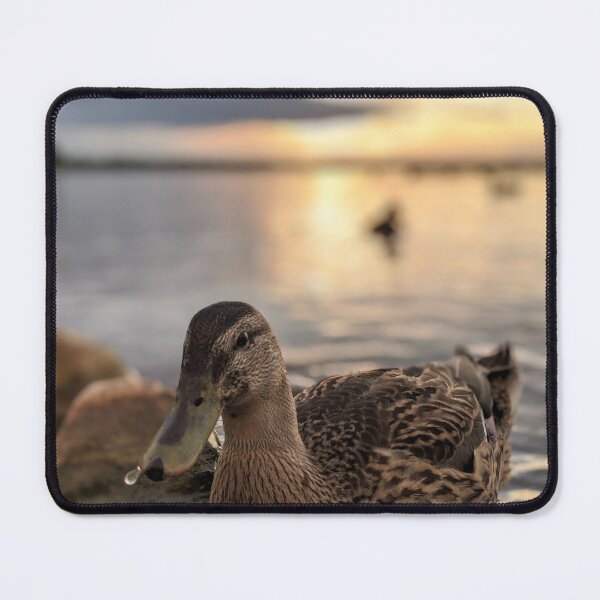 Item preview, Ducks at Sunset designed and sold by Ryan Stephens.