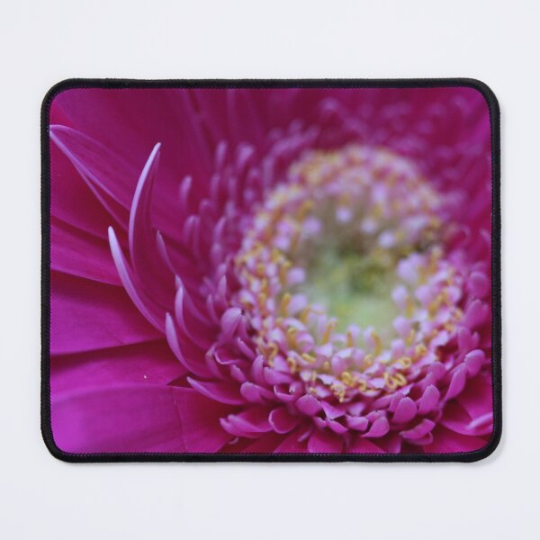 Item preview, Center of Pink Daisy designed and sold by KOneillPics.