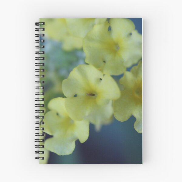 Item preview, Little yellow flower designed and sold by KOneillPics.