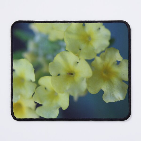 Item preview, Little yellow flower designed and sold by KOneillPics.