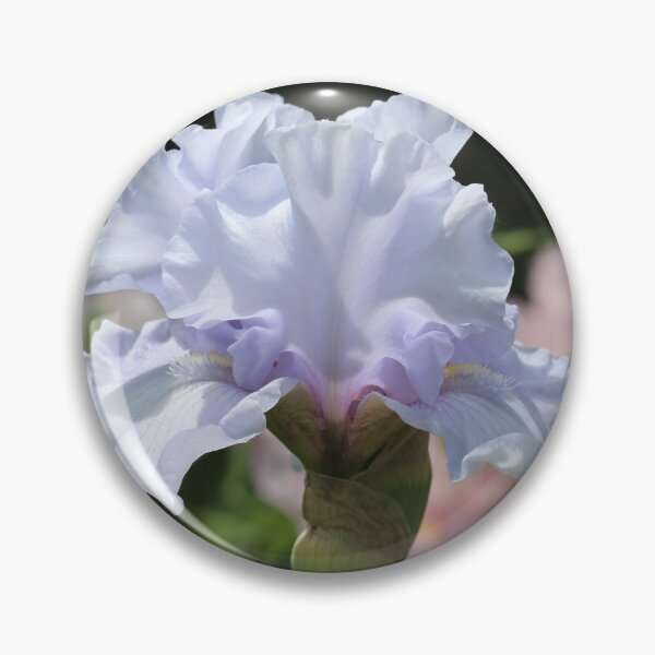Artikelvorschau, Helllila Iris entworfen und verkauft von KOneillPics.