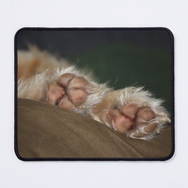 Item preview, Paw Paw designed and sold by chstudios.